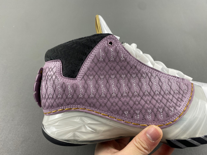 Air Jordan 23 White Stealth 318376-102